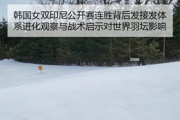 韩国女双印尼公开赛连胜背后发接发体系进化观察与战术启示对世界羽坛影响
