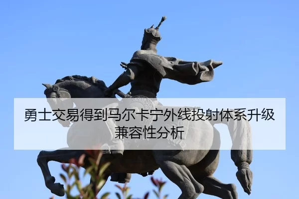 yong-shi-jiao-yi-de-dao-ma-er-ka-ning-wai-xian-tou-she-ti-xi-sheng-ji-jian-rong-xing-fen-xi-3-699.jpg