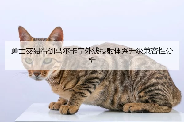 勇士交易得到马尔卡宁外线投射体系升级兼容性分析